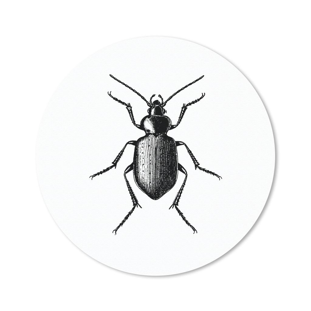 MuchoWow Mauspad Mousepad Käfer - Tiere - Vintage - Schwarz und weiß 40x40 cm - Mousepads - Maus Mat - Pad - Mausunterlage - Schreibtisch Acces...
