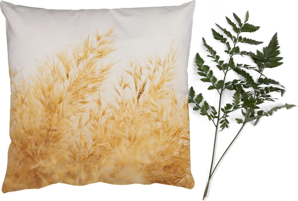 MuchoWow Zierkissen Sofakissen Wohnzimmer Dekokissen 45x45 cm Pampasgras - Sonne - Gras - Schlafpolster - Polster für das Sofa