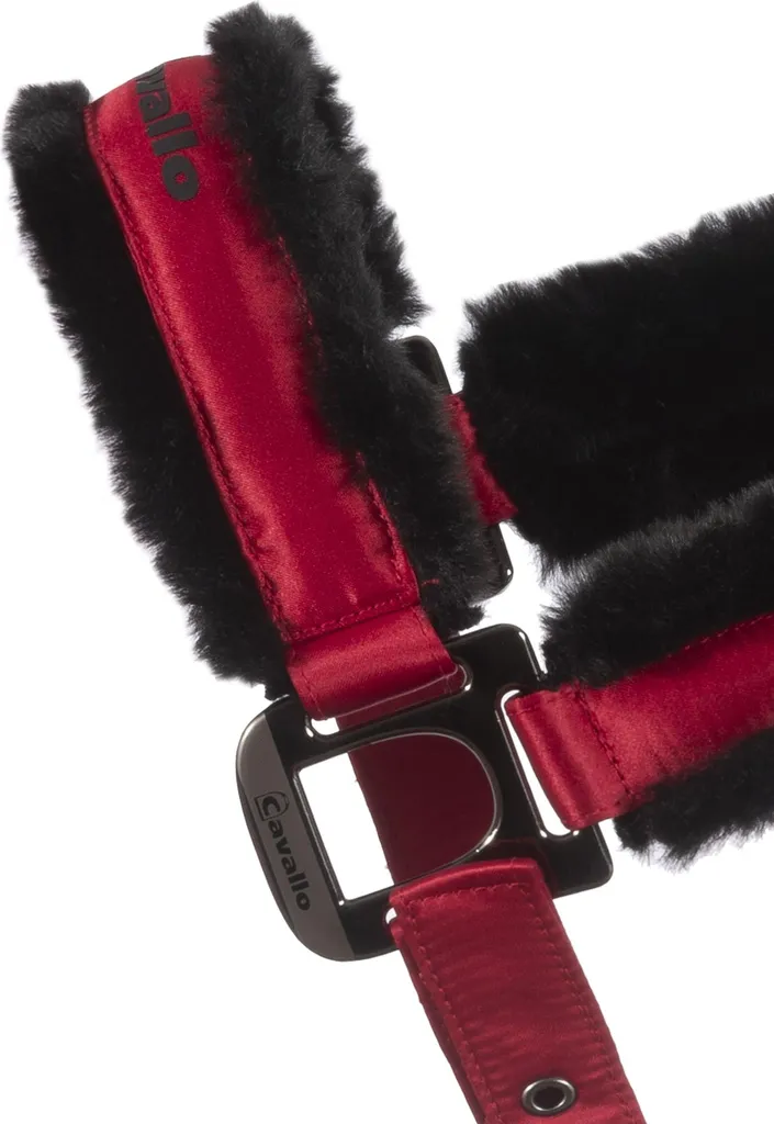Licol matelassé Cavallo JERO Dark Ruby 2025 - Finition Luxe Taille GP - 2