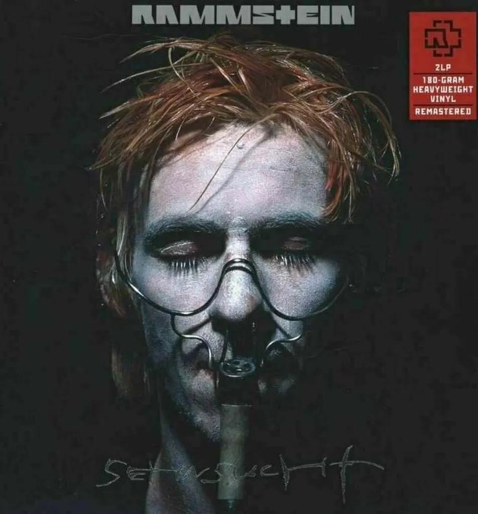 Album Rammstein Désir Vinyle : Retrouvez l'Émotion Pure du Son Analogique Rare