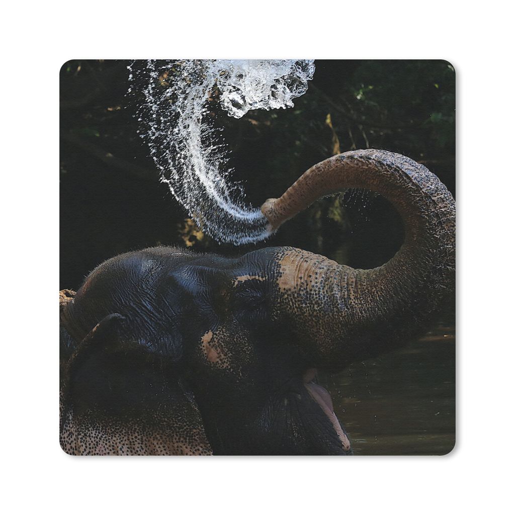 MuchoWow Mauspad Mousepad Elefant - Wasser - Rüssel - Tiere - Natur 20x20 cm - Mousepads - Maus Mat - Pad - Mausunterlage - Desk Mat - Bureauart...