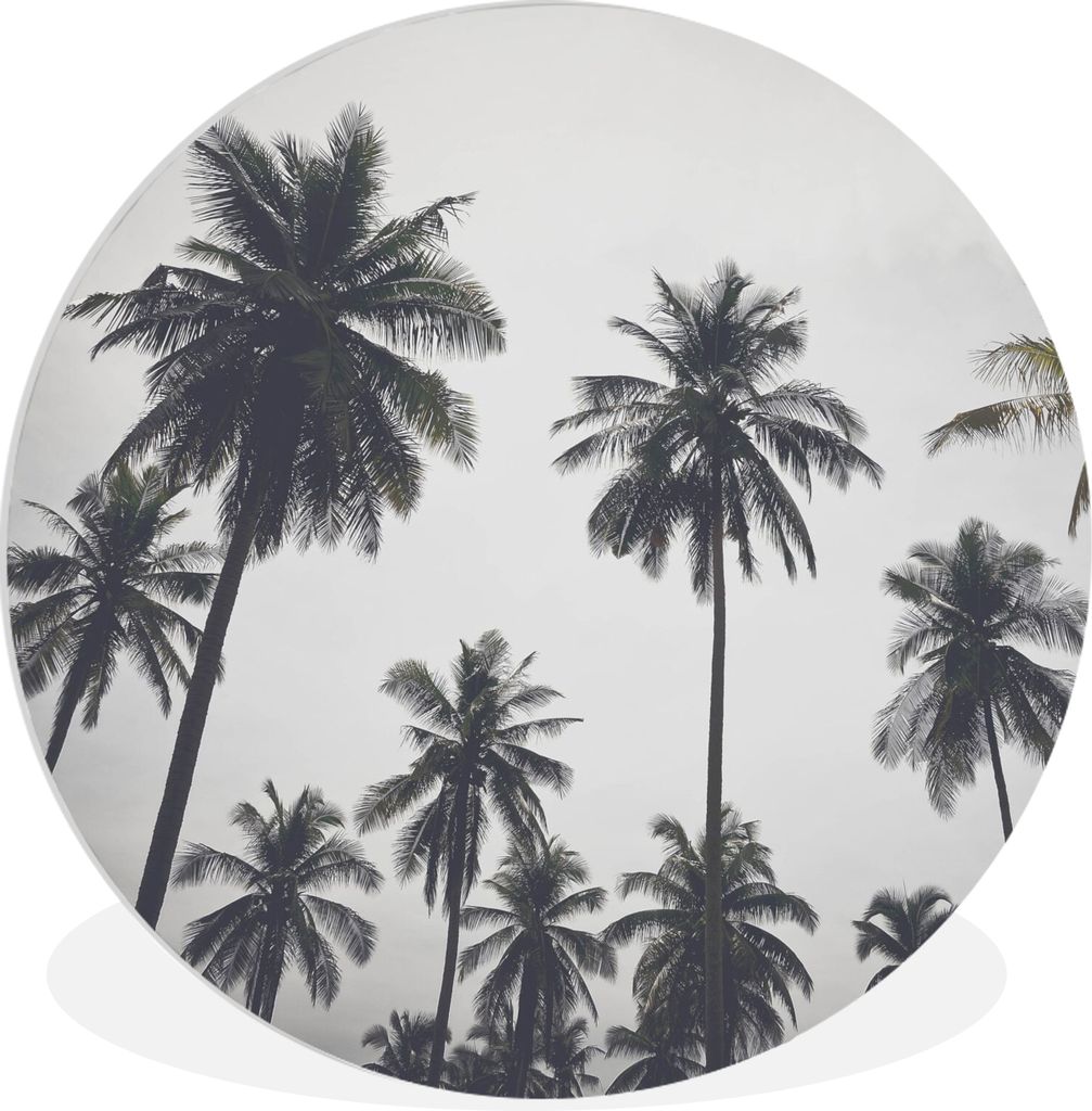 MuchoWow Rundes Wandbild - Runde Bilder Palme - Tropisch - Natur Ø 90 cm Kreis Wanddekoration Kunststoff - Wandkreis - Wandschmuck - Wand-Kreis ...