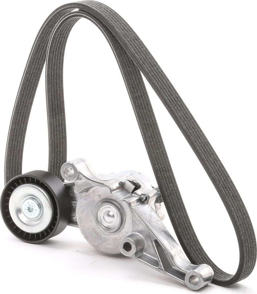RIDEX 542R0499 Keilrippenriemensatz für VW Transporter V Bus (7HB, 7HJ, 7EB, 7EJ, 7EF, 7EG, 7HF, 7EC)