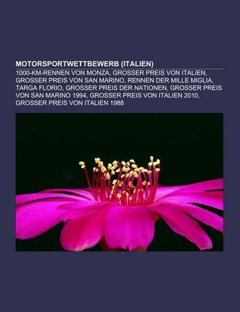 Motorsportwettbewerb (Italien)