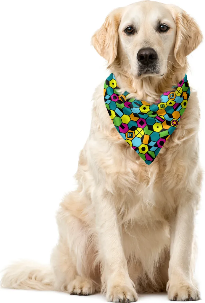 Bandana Animali ABAKUHAUS Geometrica 40x40 cm - Stile Esagonale Pop