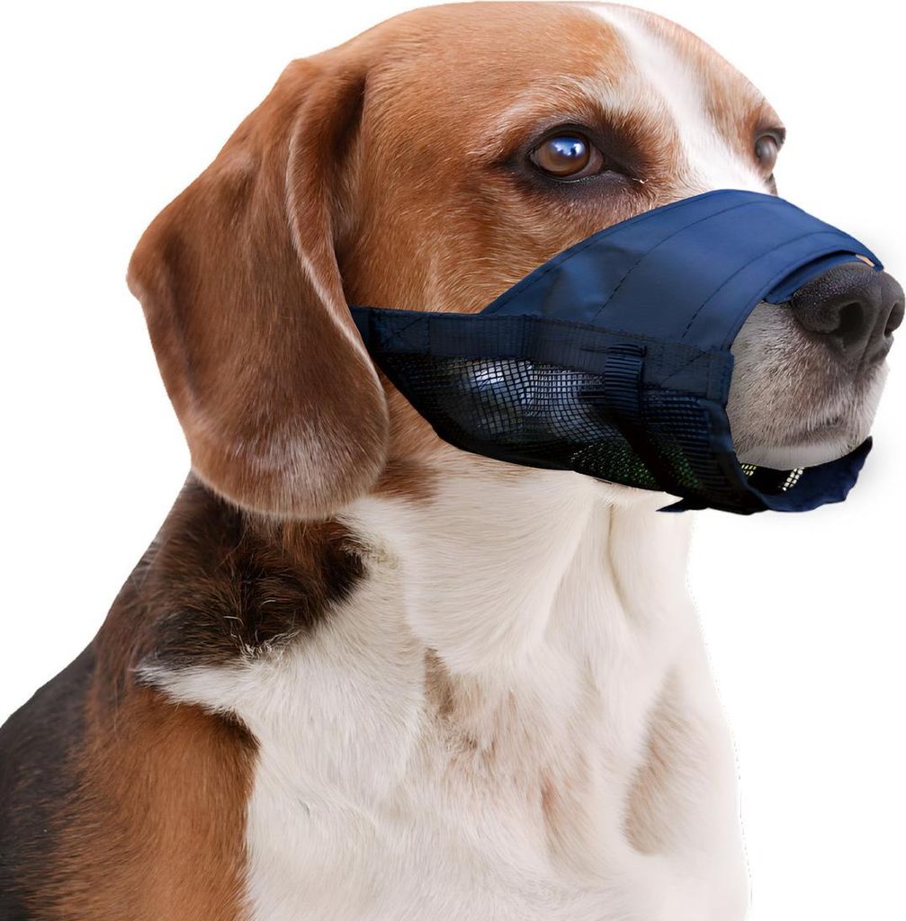 Pawise Verstellbarer Nylon Maulkorb, Größe: S