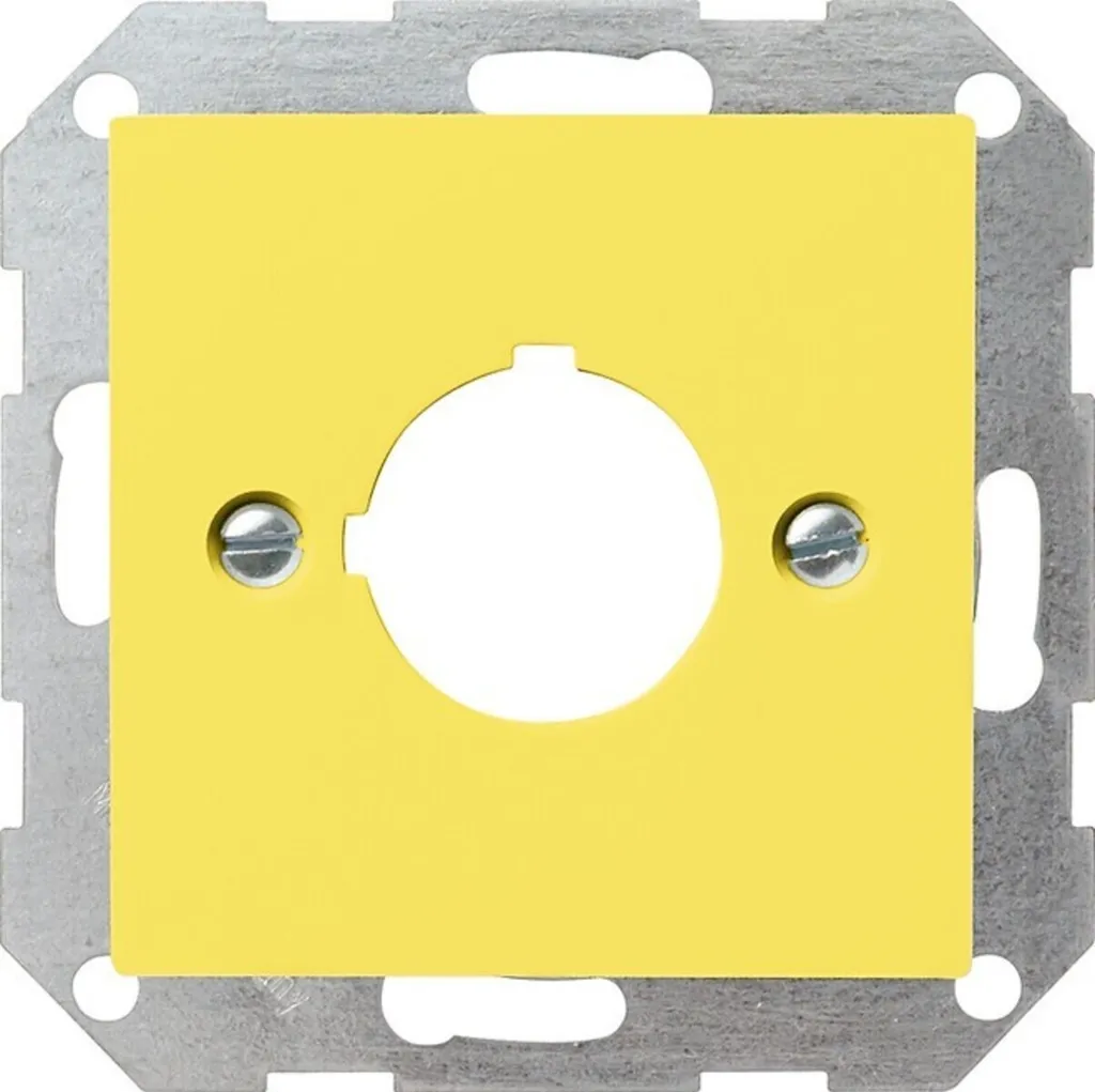 Enjoliveur Central Vitré pour Prise 22,5mm Gira 027102 Système 55 Noir