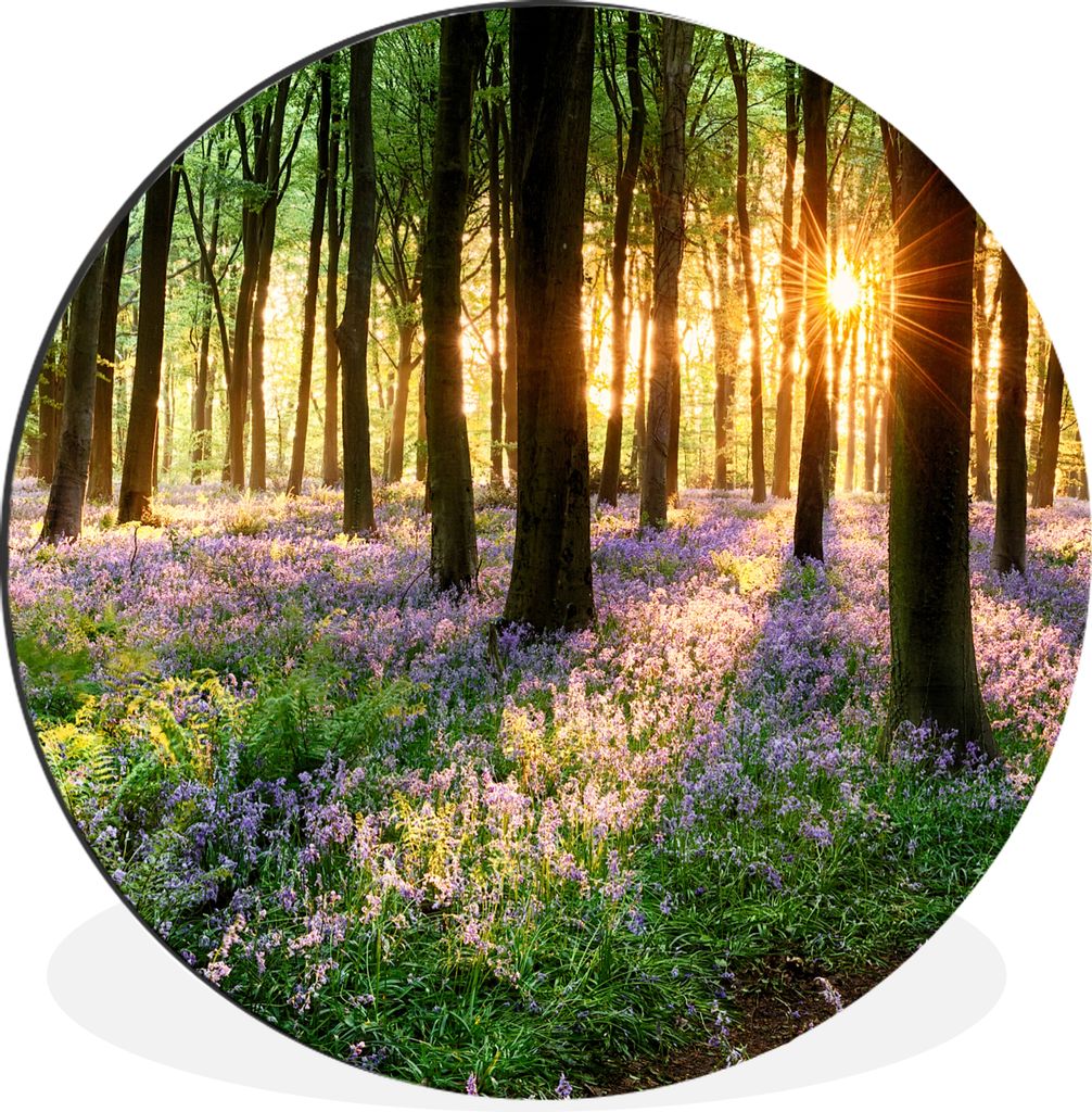 MuchoWow Aluminium Wandkreis Wald - Blumen - Lavendel - Sonne - Lila - Natur Ø 60 cm Wanddeko Modern Wohnzimmer - Wand Kreis - Wandbild - Schlaf...
