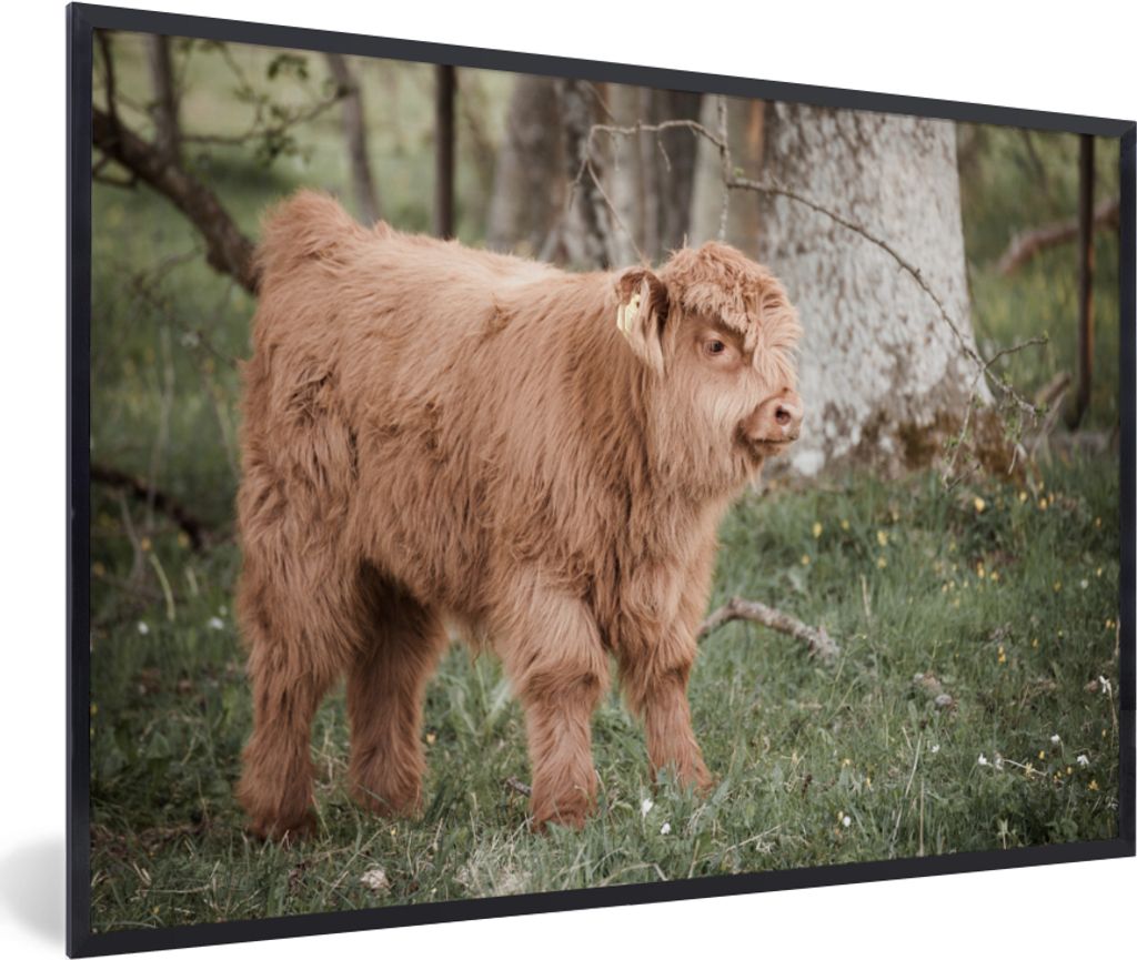 MuchoWow® MuchoWow® Gerahmtes Poster Schottisches Produktbild 
