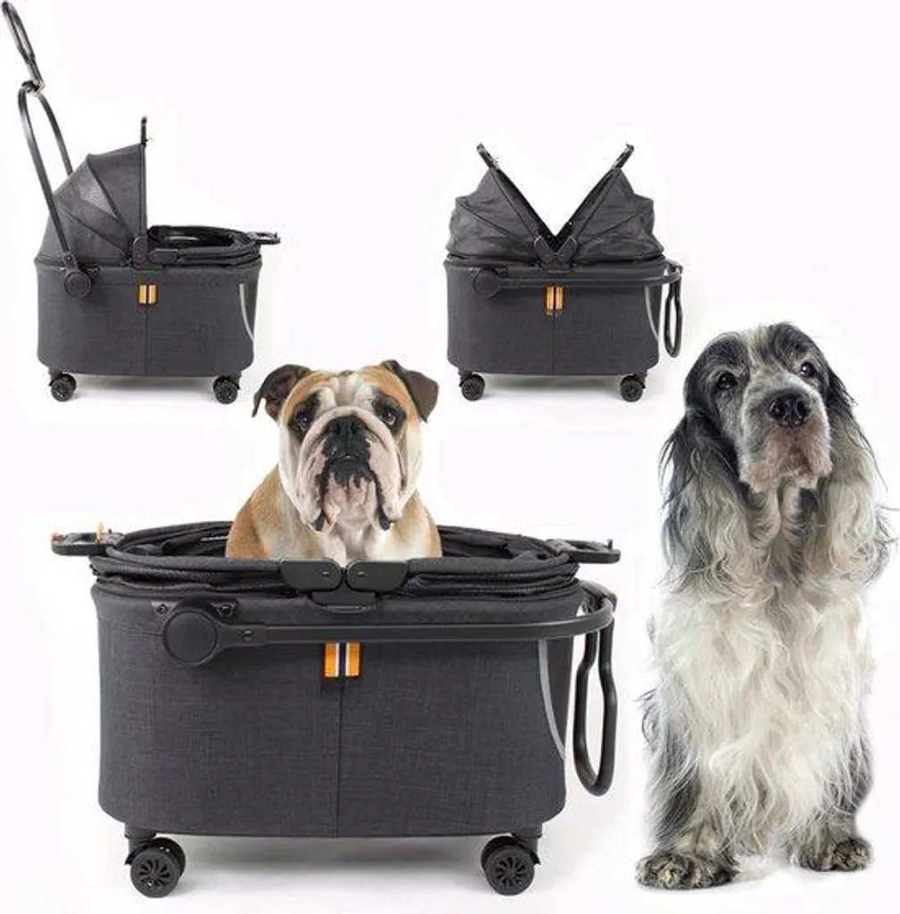 Cage de transport chien 8kg robuste et aérée - Finies les griffures !