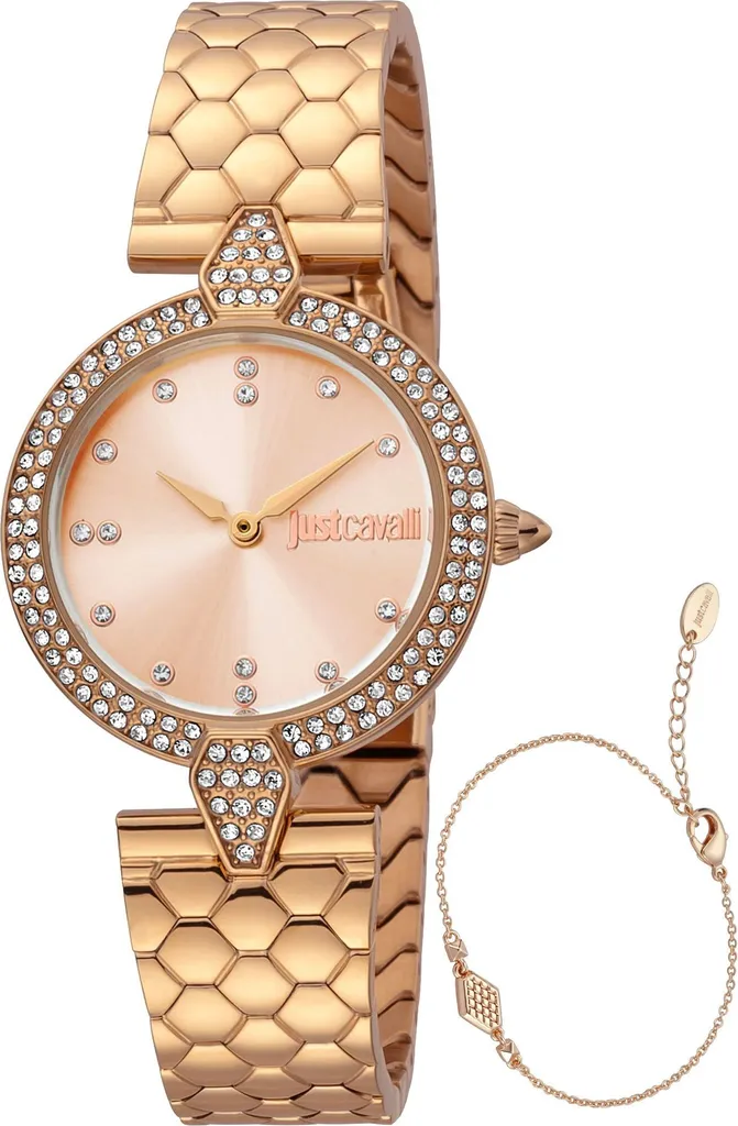 Montre Femme Just Cavalli JC1L159M0075 élégante en acier argenté chic