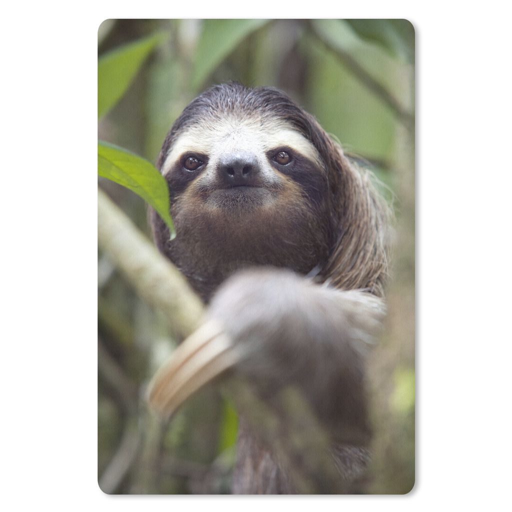 MuchoWow Mauspad Mousepad Eine Nahaufnahme eines Faultiers inmitten von grünen Blättern 40x60 cm - Mousepads - Maus Mat - Pad - Mausunterlage -...