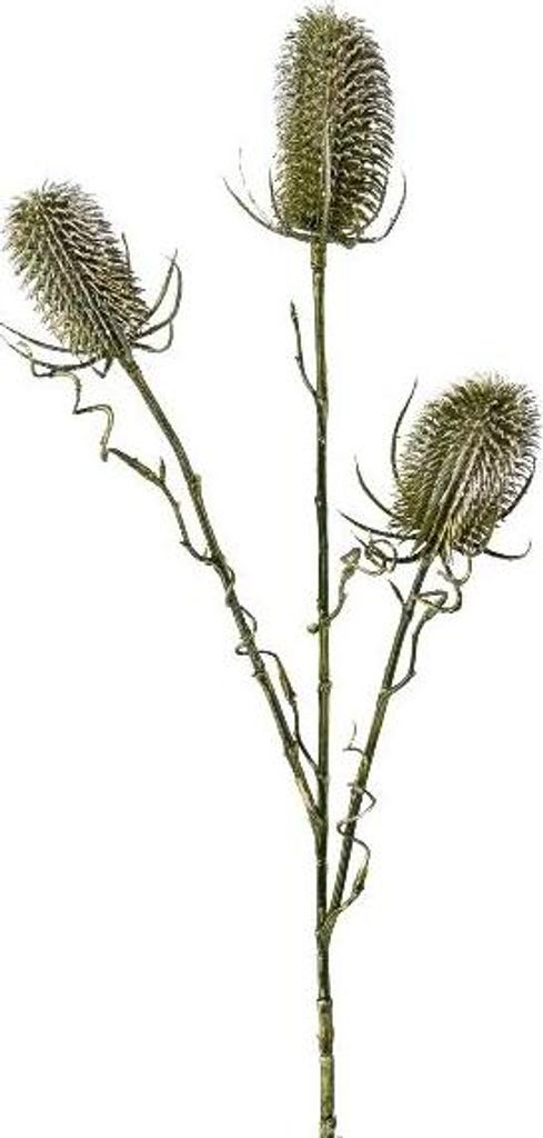 artplants.de Künstlicher Zweig Wilde Karde BLOVEN, grün, 60cm - Kunstblumenzweig