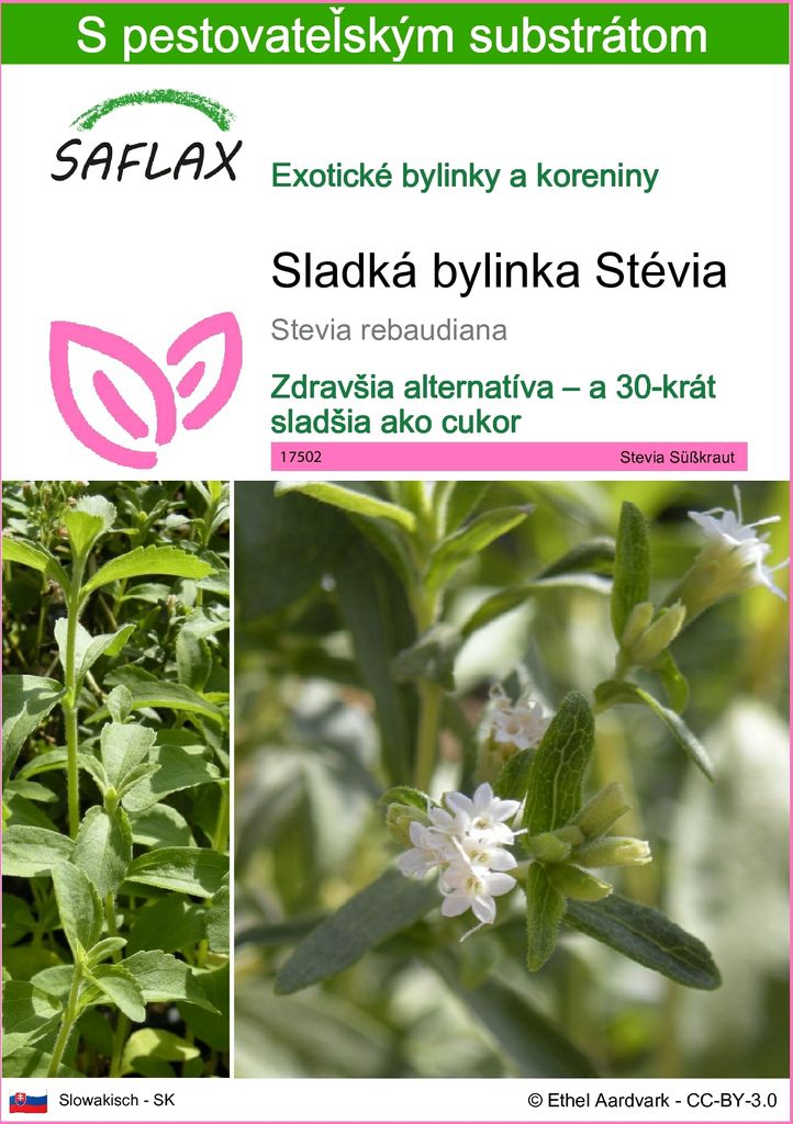 SAFLAX - Sladká bylinka Stévia - Stevia rebaudiana - 100 Obrázok produktu 