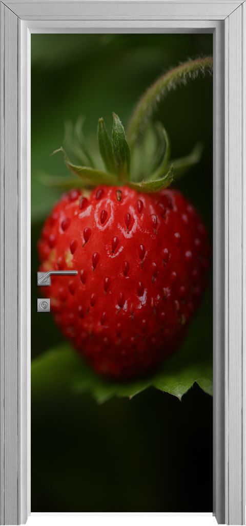 Tür Selbstklebende 80x210 cm Türfolie Türtapete Klebefolie - Wilde Erdbeere Beere