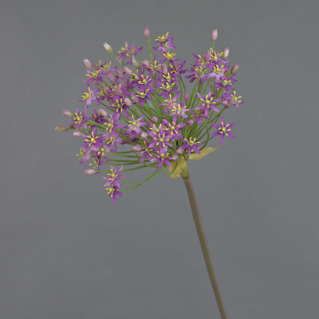 artplants.de Künstliche Blume Allium BRAIS, violett, 90cm - Kunstblume Zierlauch