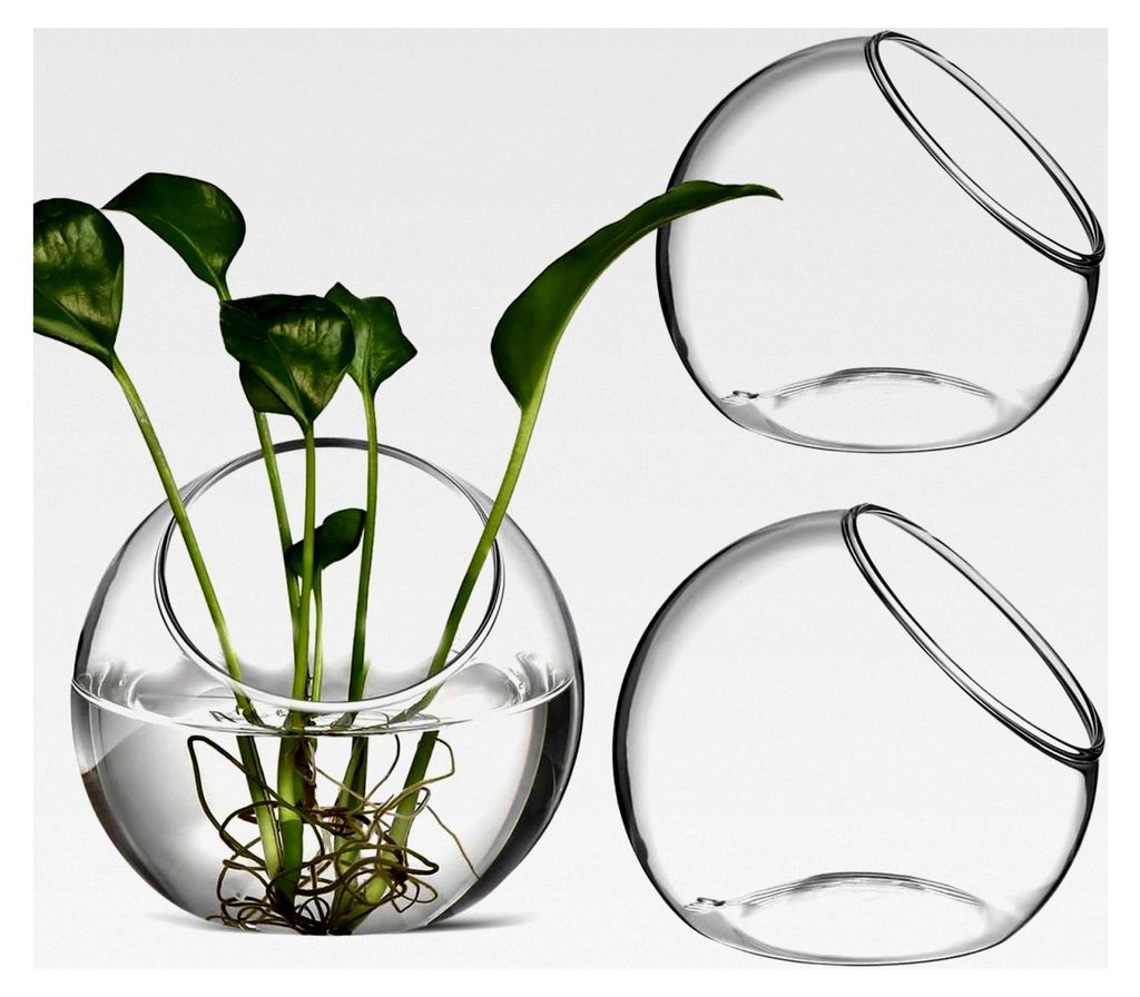Terrarium Luftpflanzen-Glasbehälter 3er Set Runde Klare Vasen für Sukkulenten und Luftpflanzen Dekoration Zuhause Büro