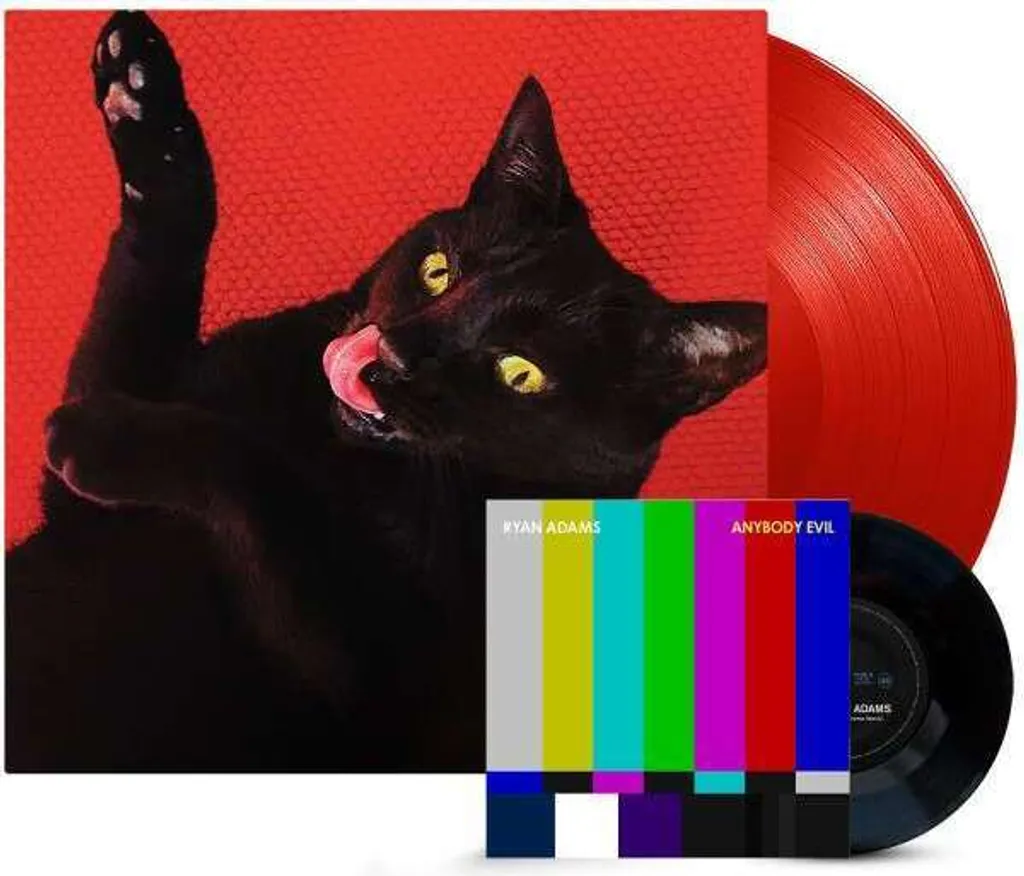 Disque Vinyle Pop Big Colors Ryan Adams Coloris Rouge et Single Inclus