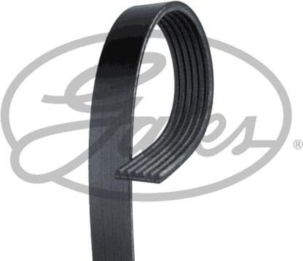 Gates 6PK1360 Keilrippenriemen für