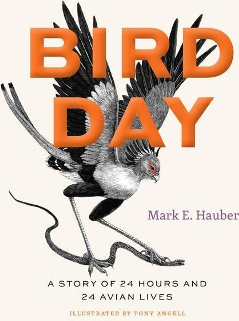 Bird Day