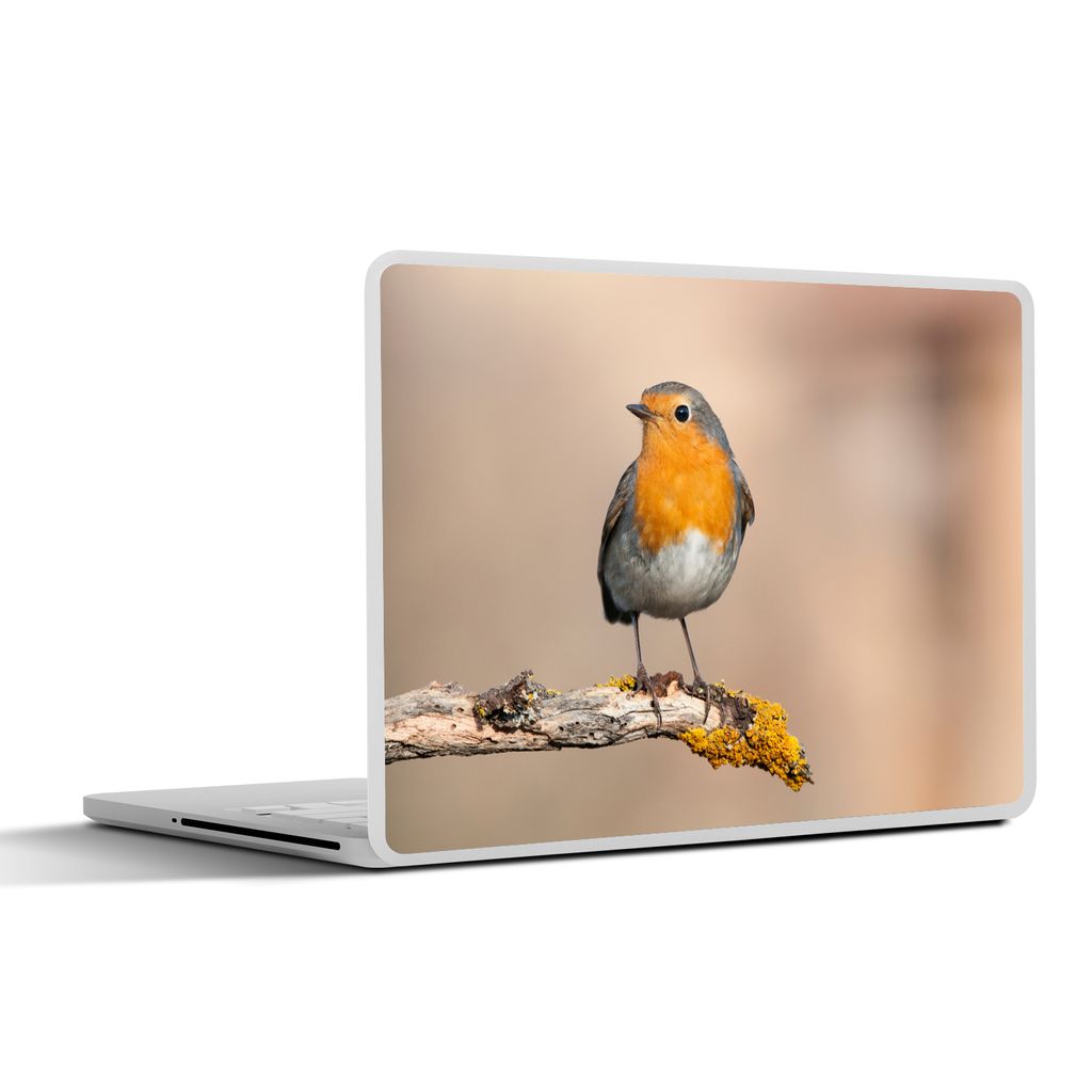 MuchoWow Laptop Aufkleber Sticker Cover Rotkehlchen - Vogel - Zweig - Tiere 36.5x27.5 cm - Laptop-Sticker