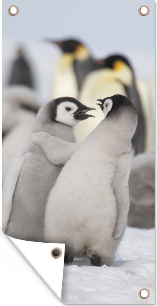 MuchoWow 40x80 cm Outdoor-Poster Gartendeko Sichtschutz Garten Poster für den Garten Pinguine - Schnee - Tiere