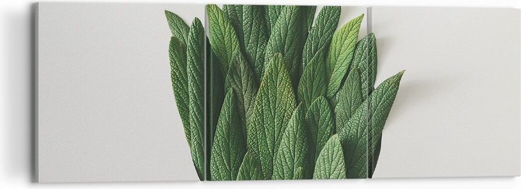 Bild auf Leinwand - Leinwandbild - 3 Teile - Salbei Medizin Blätter - 120x40cm - Wand Bild - Wanddeko - Wandbilder - Leinwanddruck - Bilder - Wand...