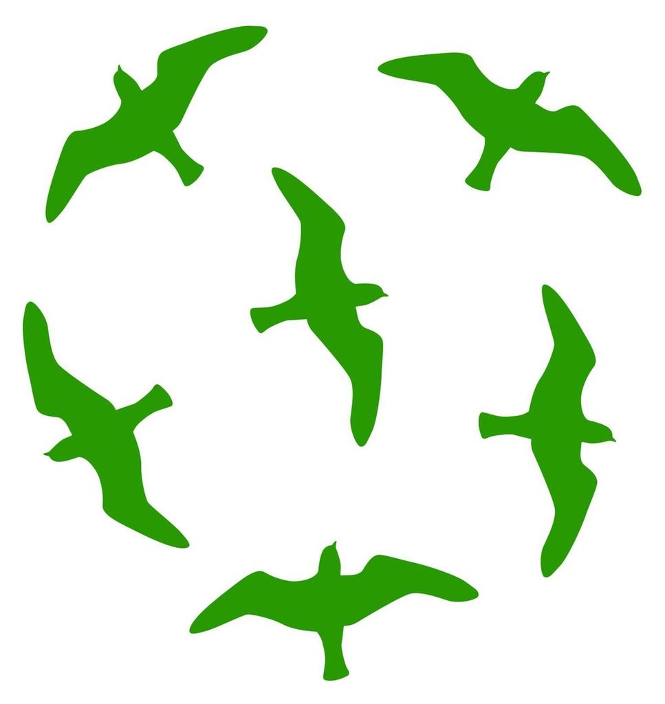 HUURAA! 6er Set VOGELSCHUTZ AUFKLEBER Farben Vogel Schreck Produktbild 