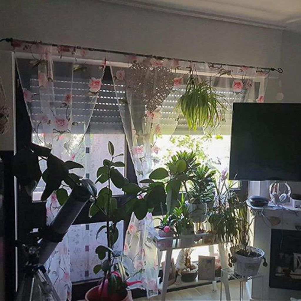 Vorhänge mit stilvollem Rosendesign, transparentem Faltenband, 1 Stück, für Wohnzimmer, Schlafzimmer, Kinderzimmer, Landhaus, als Sichtschutz, B...