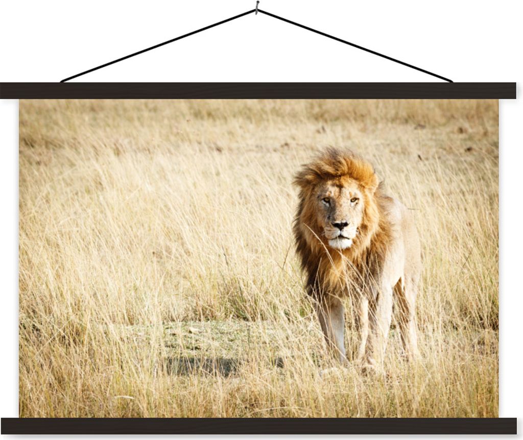 MuchoWow Textilposter Löwen - Afrika - Gras 120x80 cm mit schwarzem Rahmen - Wanddeko