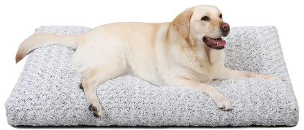 Lit pour Animal de Compagnie Grande Taille Gris Clair Hyper Confort