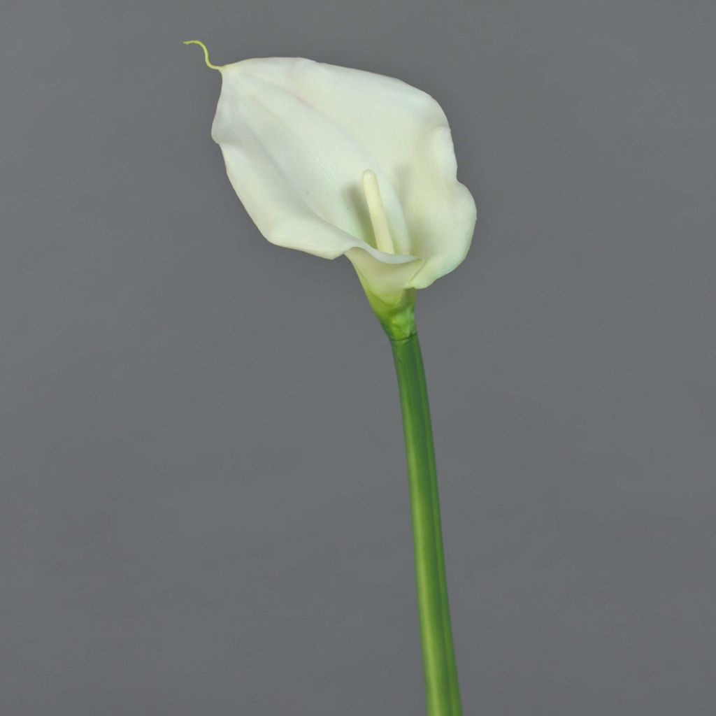artplants.de Künstliche Blume Zantedeschie ZHILONG, weiß, 55 cm - Künstliche Stielblume