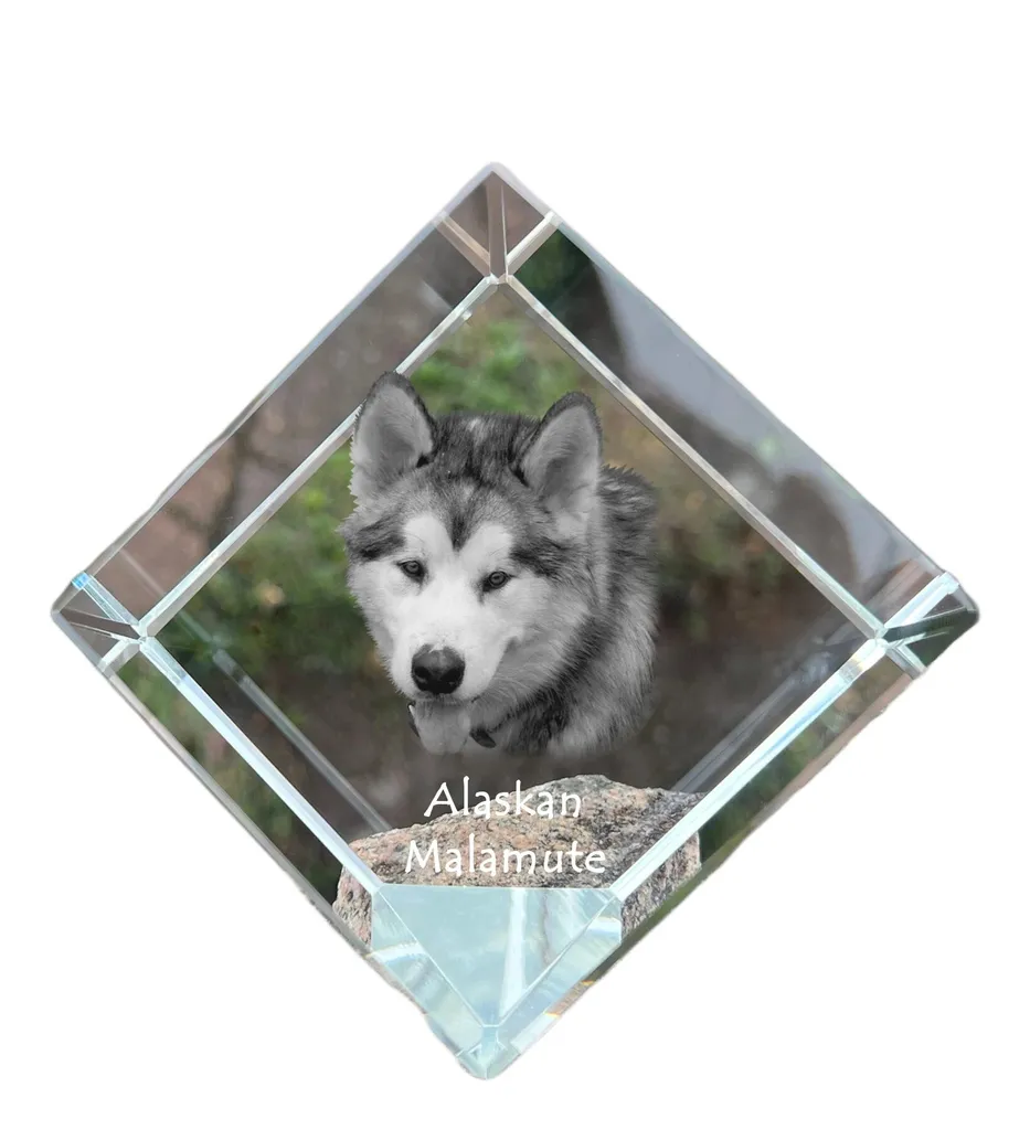 Déco Malamute d'Alaska Durable : Cube Cristal Photo Anti-Rayures Art-Dog