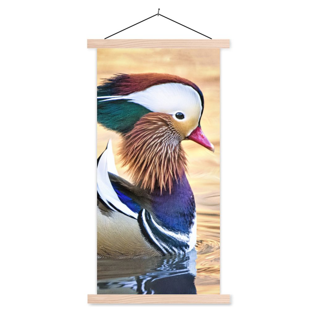 MuchoWow Textilposter Ente - Wasser - Tier 60x120 cm mit holzfarbenen Rahmen - Holz
