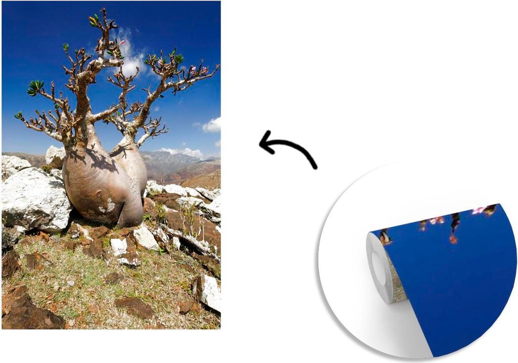 MuchoWow Fototapete für Wohnzimmer oder Schlafzimmer Wandtapete Vinyl Motivtapete Wüstenrose auf der Insel Sokotra in Asien - 190x280 cm - Küche