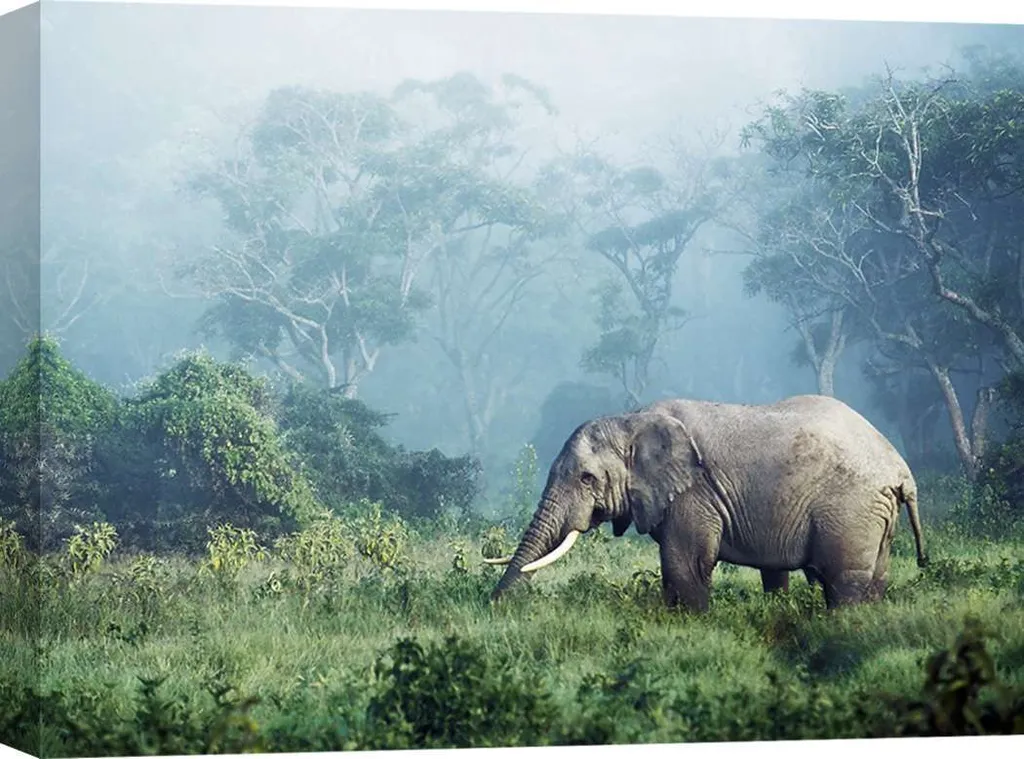 Tableau Éléphants du Ngorongoro Tanzanie impression HD sur toile 100x70