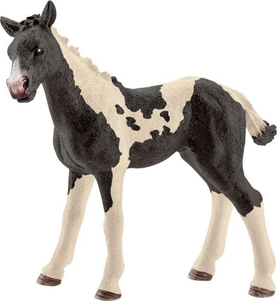 Schleich 13803 Farm World - Pinto Fohlen