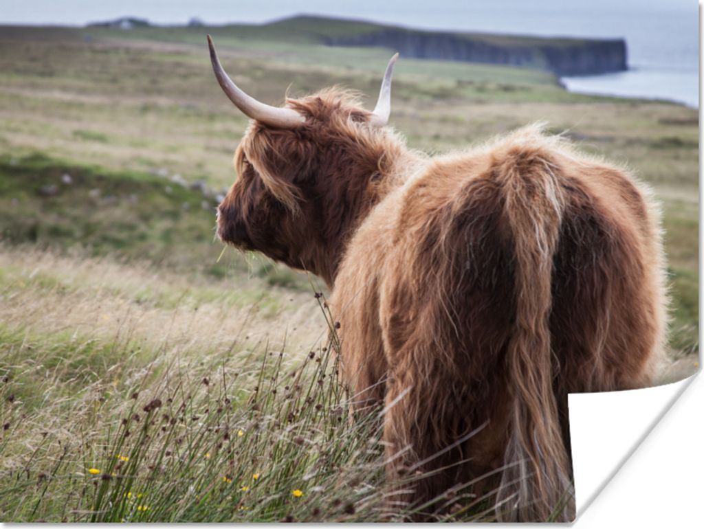 MuchoWow Poster Schottische Highlander - Natur - Meer 40x30 cm - Plakate für die Wände - Poster Wohnzimmer