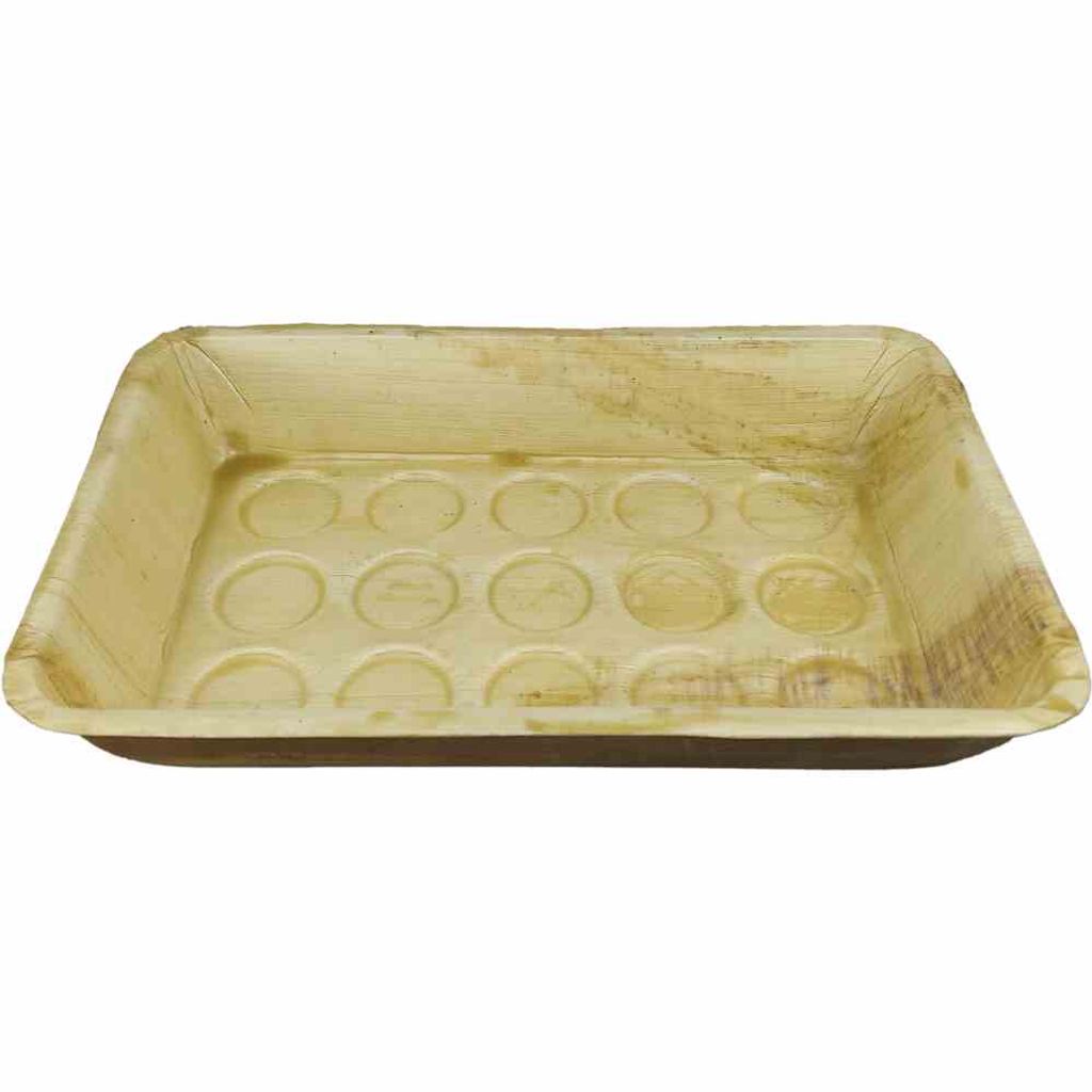SIENA GARDEN ECO-Anzuchtschale aus Palmblatt N05594
