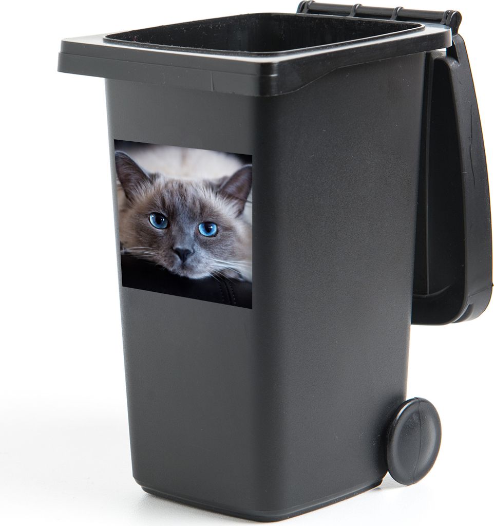MuchoWow Mülltonnenaufkleber Katze - Grau - Nahaufnahme 40x40 cm - Abfall-Aufkleber - Container - für Abfallcontainer