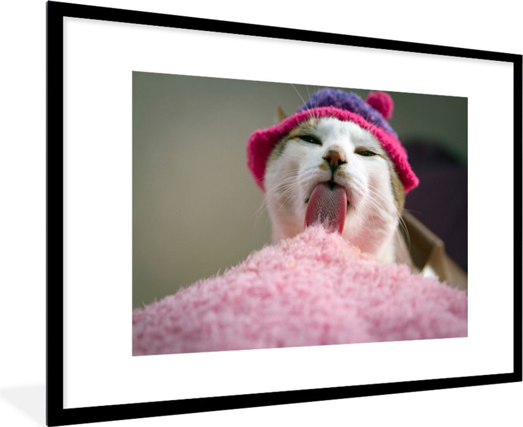 MuchoWow MuchoWow Gerahmtes Poster Katze - Kissen - Mütze - Zunge 90x60 cm - Poster mit zchwarzem Bilderrahmen - Wanddekoration - Fotos