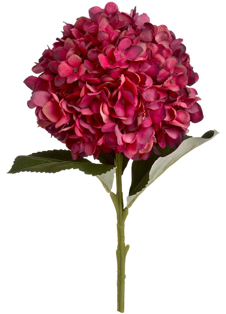Hill Interiors - Kunstblume, Hortensie HI2902 (Einheitsgröße) (Rubinrot)