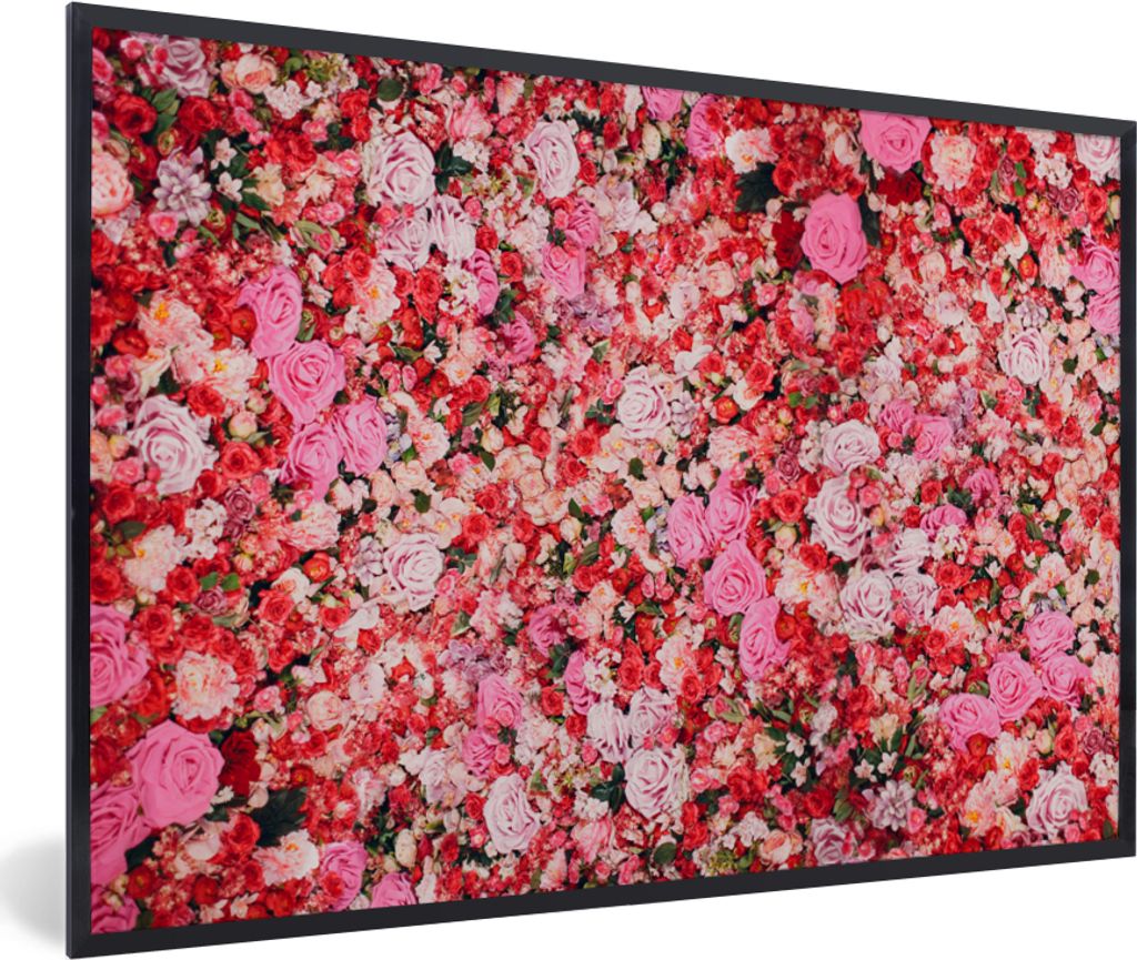 MuchoWow MuchoWow Gerahmtes Poster Blumen - Farben - Rosen 90x60 cm - Poster mit zchwarzem Bilderrahmen - Fotorahmen - Foto-Plakat