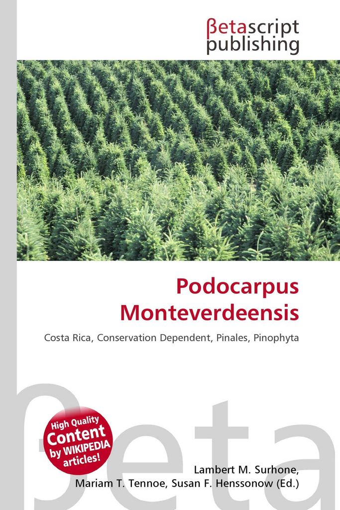 Podocarpus Monteverdeensis