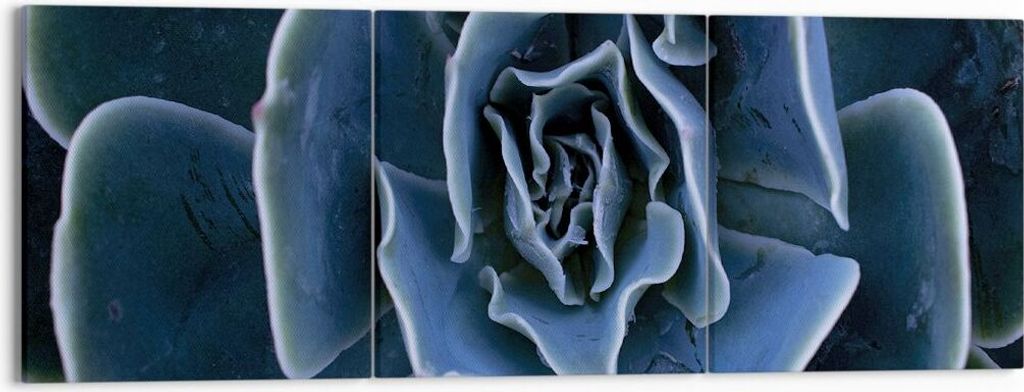 Bild auf Leinwand - Leinwandbild - 3 Teile - Blau Kaktus Produktbild 