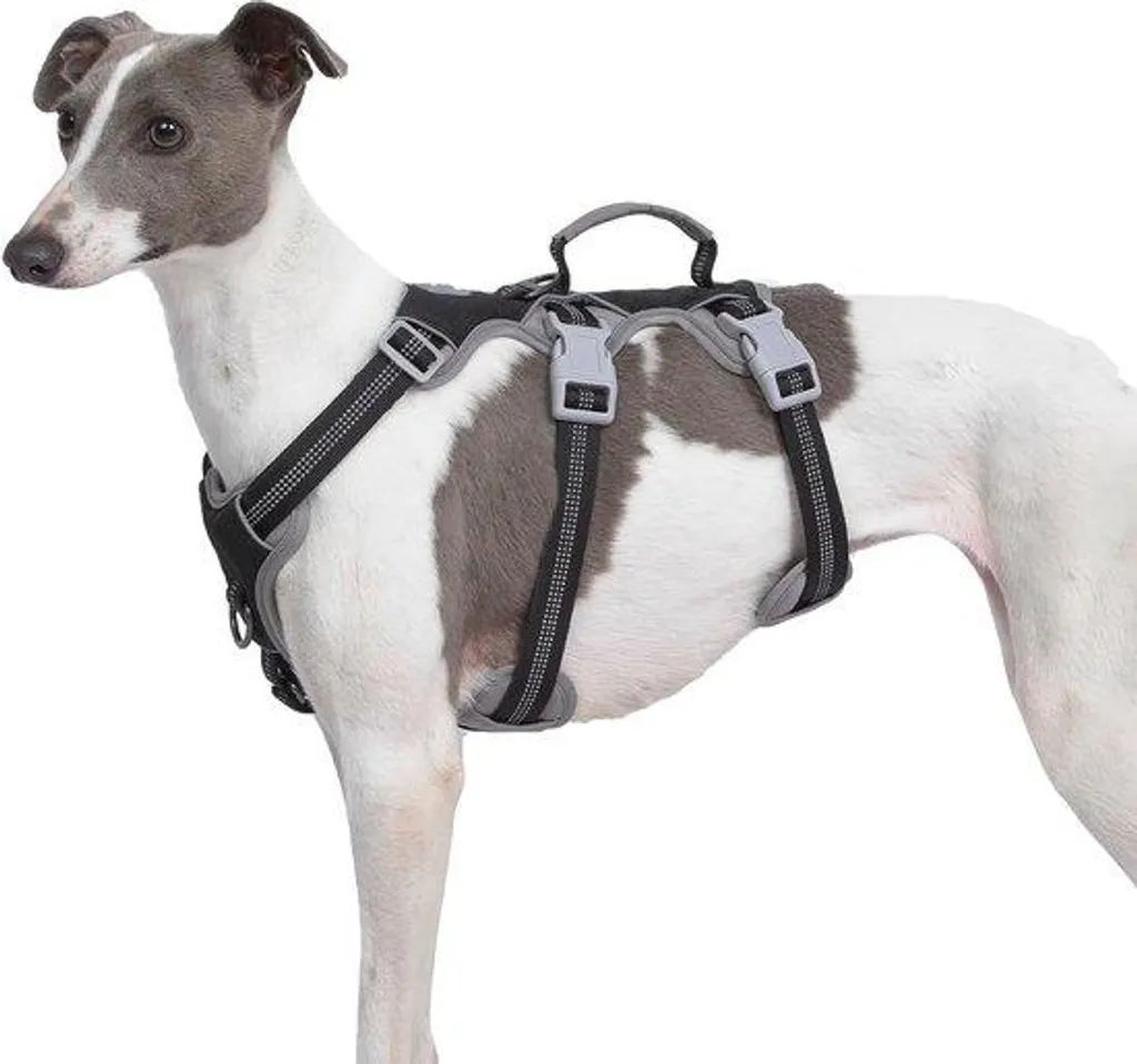 Collier Réfléchissant avec Poignée Rembourrée pour Chien de 25 à 50kg