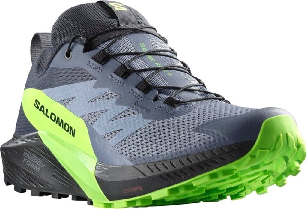 Salomon Sense Ride 5 GTX Herren Wanderschuh in Grau, Größe 10