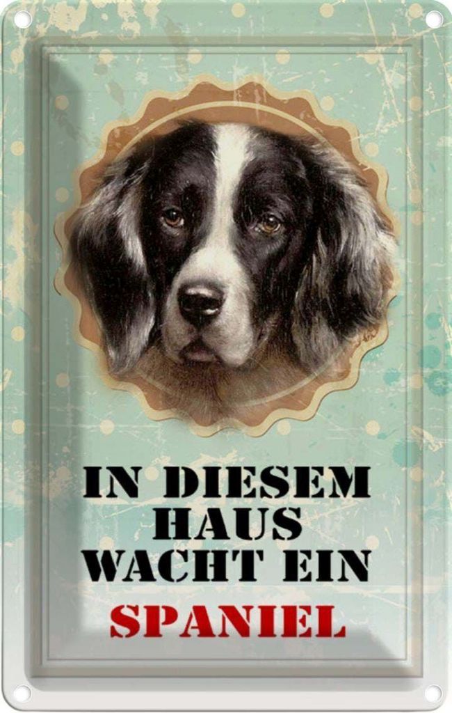vianmo Blechschild 30x20 cm Hund in diesem Haus wacht ein Spaniel Tier Haustier
