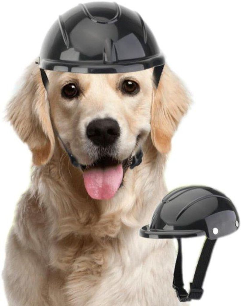 Helm für Hunde - Motorhelm - 5,5 × 11,5 cm - Sicherheits-Helm für Hunde - mit verstellbarer Band - für draußen, Auto, Fahrrad, Fotografie - Mi...