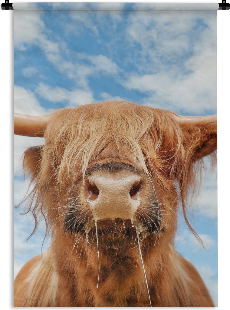 MuchoWow Wandteppich Wandbehang Schottischer Highlander - Wolke - Tiere 60x90 cm Tapisserie Dekoration Wandtuch - Foto-Teppich - Abwaschbar